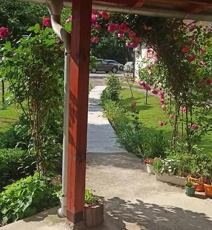 Kuca Za Odmor Ema Vrnjačka Banja